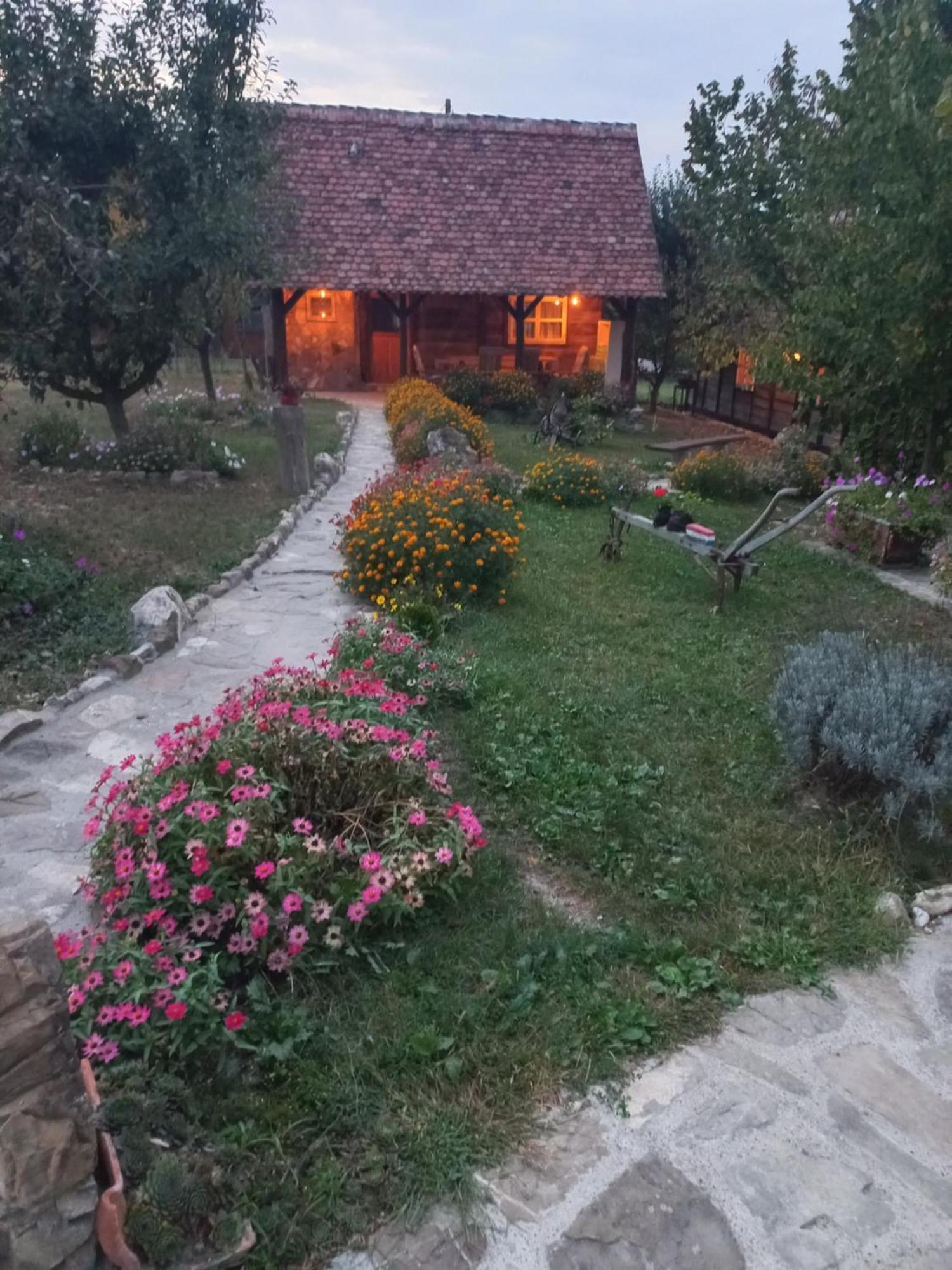 Magaze De Luxe Villa Gradacac ภายนอก รูปภาพ