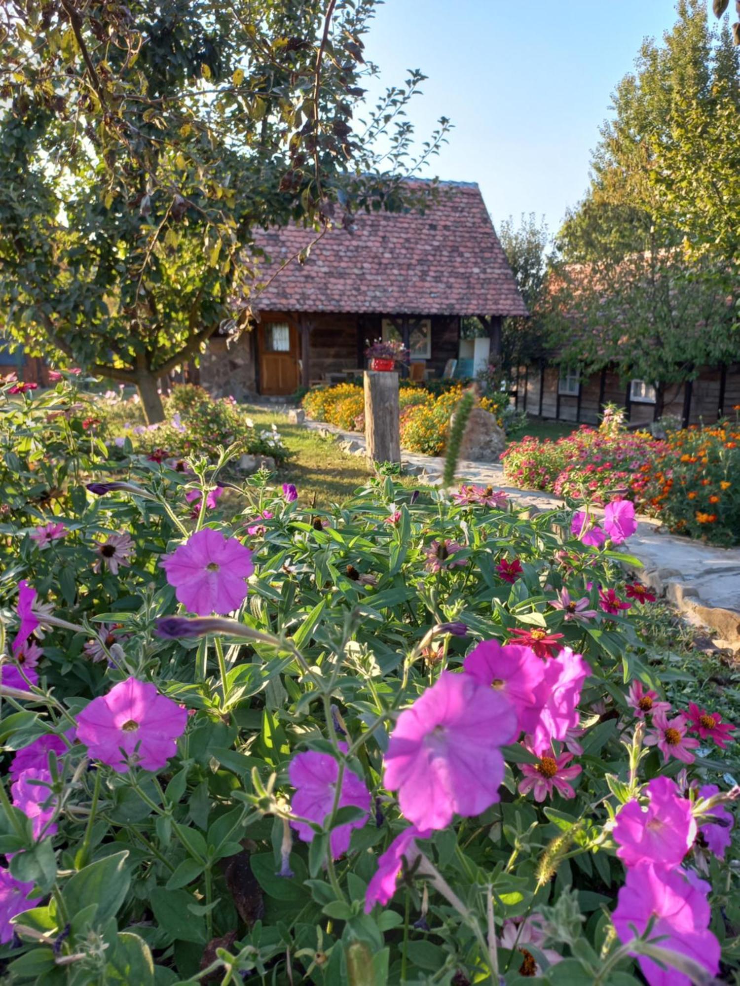 Magaze De Luxe Villa Gradacac ภายนอก รูปภาพ
